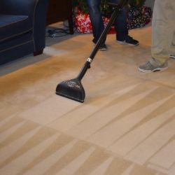 Carpet Pros photo 20
